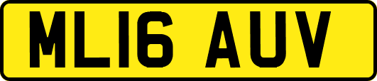 ML16AUV