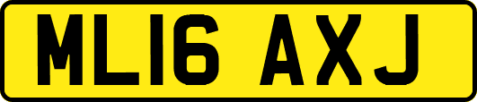 ML16AXJ