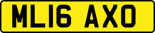 ML16AXO