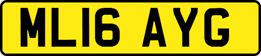 ML16AYG