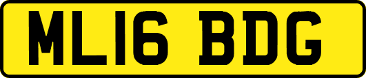 ML16BDG