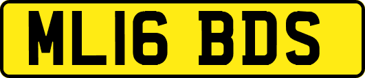 ML16BDS