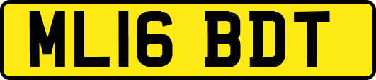 ML16BDT