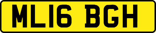 ML16BGH
