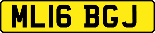 ML16BGJ