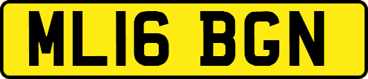 ML16BGN