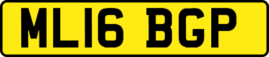 ML16BGP