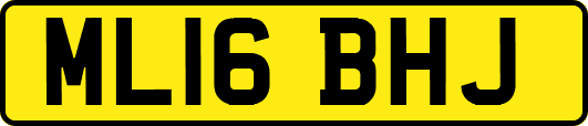 ML16BHJ