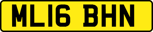 ML16BHN