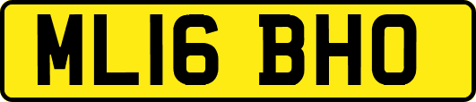 ML16BHO