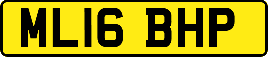 ML16BHP