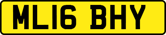 ML16BHY
