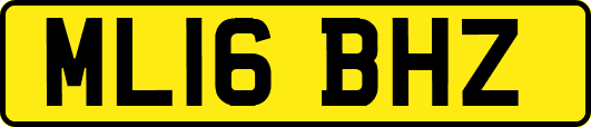 ML16BHZ