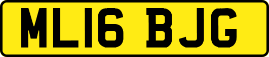 ML16BJG