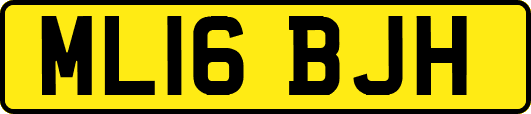 ML16BJH