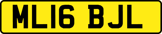 ML16BJL
