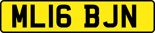 ML16BJN