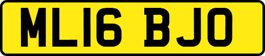 ML16BJO