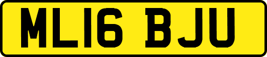 ML16BJU