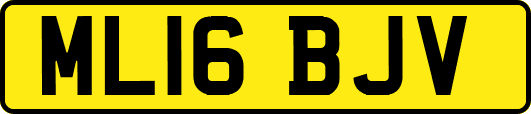 ML16BJV
