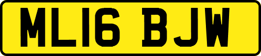 ML16BJW