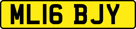ML16BJY