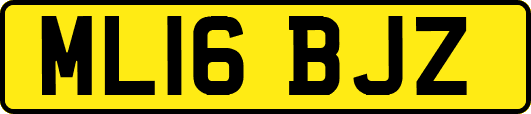 ML16BJZ
