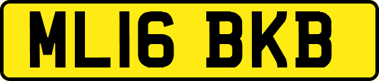 ML16BKB