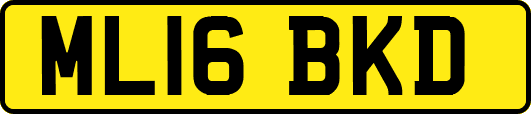 ML16BKD