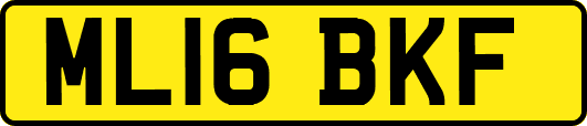 ML16BKF