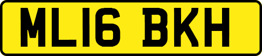 ML16BKH