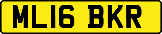 ML16BKR