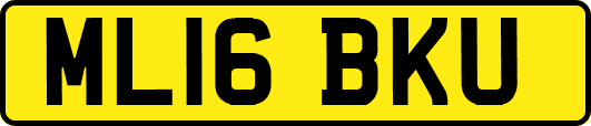 ML16BKU