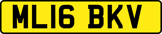 ML16BKV
