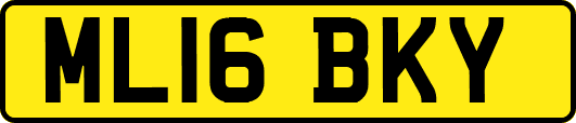 ML16BKY