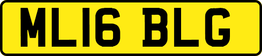 ML16BLG