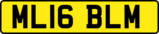 ML16BLM