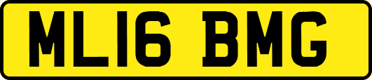 ML16BMG