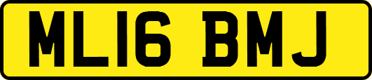 ML16BMJ