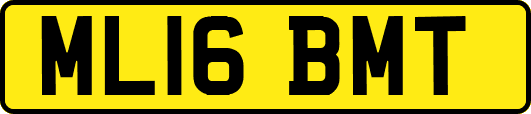 ML16BMT