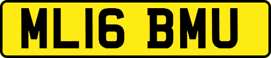 ML16BMU