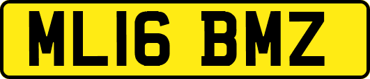 ML16BMZ