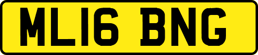 ML16BNG