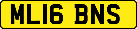 ML16BNS