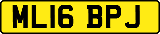 ML16BPJ