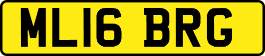 ML16BRG