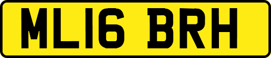 ML16BRH