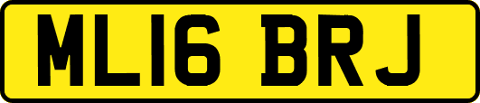 ML16BRJ