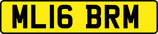ML16BRM