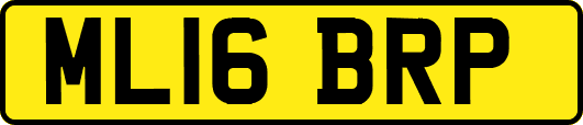 ML16BRP